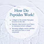 Social Media Package Infographic 2 V2