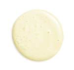 Screen Shot 2024 11 28 at 4.12.42 PM